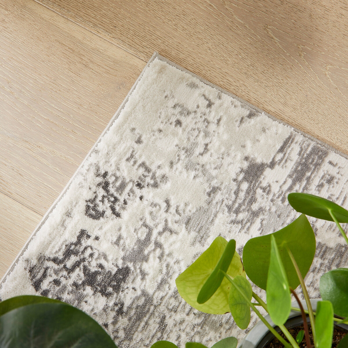 Concept Looms Olivia Grey Rug, in 3 Sizes