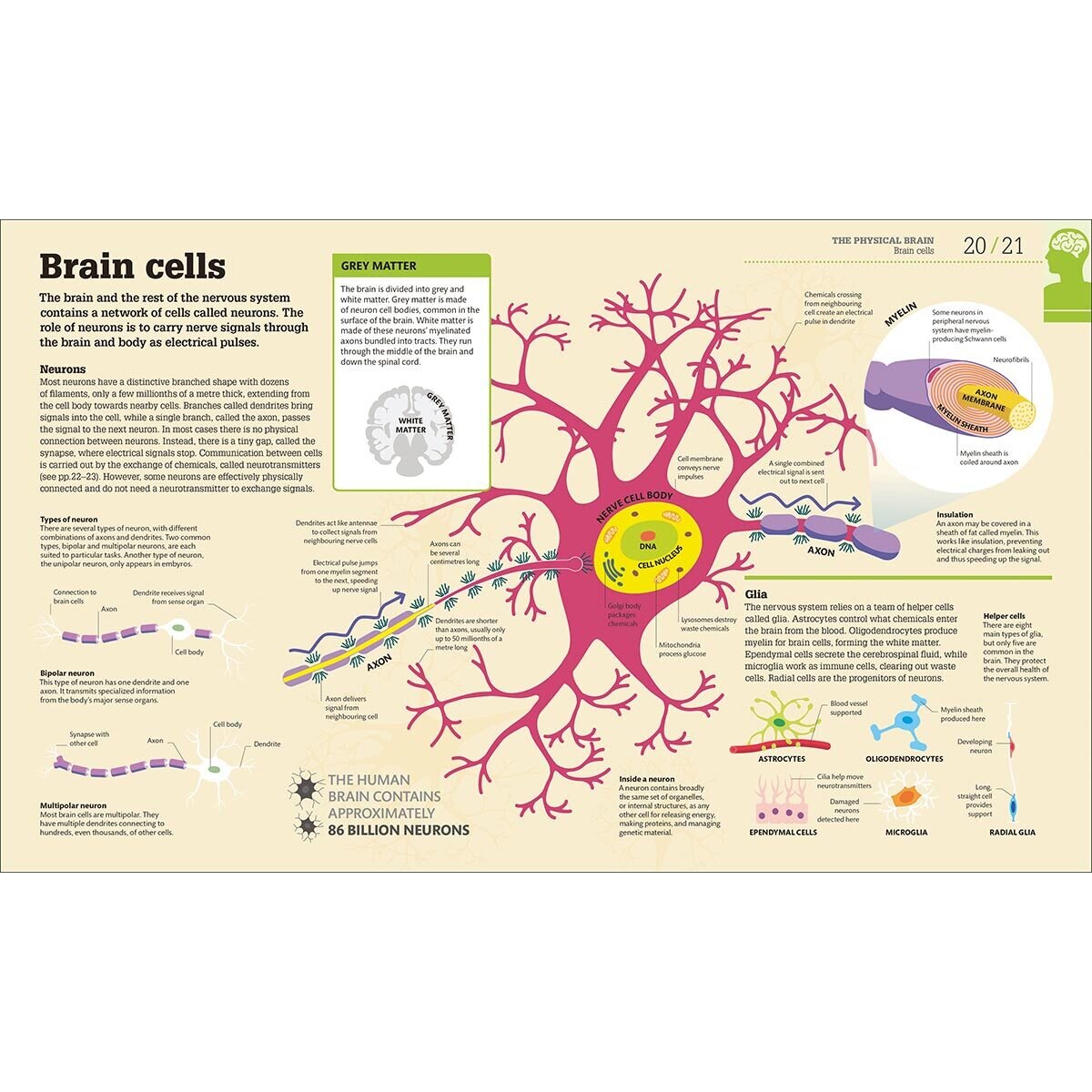 Page spread of How food works