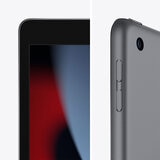 Buy Apple iPad 9th Gen, 10.2 Inch, WiFi, 64GB in Space Grey, MK2K3B/A at costco.co.uk