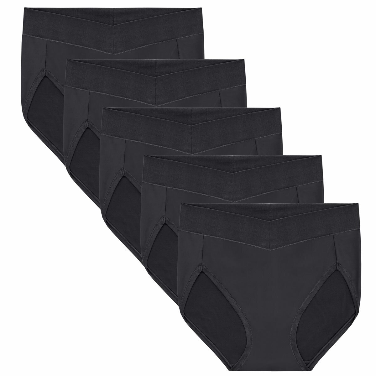 Carole Hochman Women's Seamless Brief 5 Pack in Black