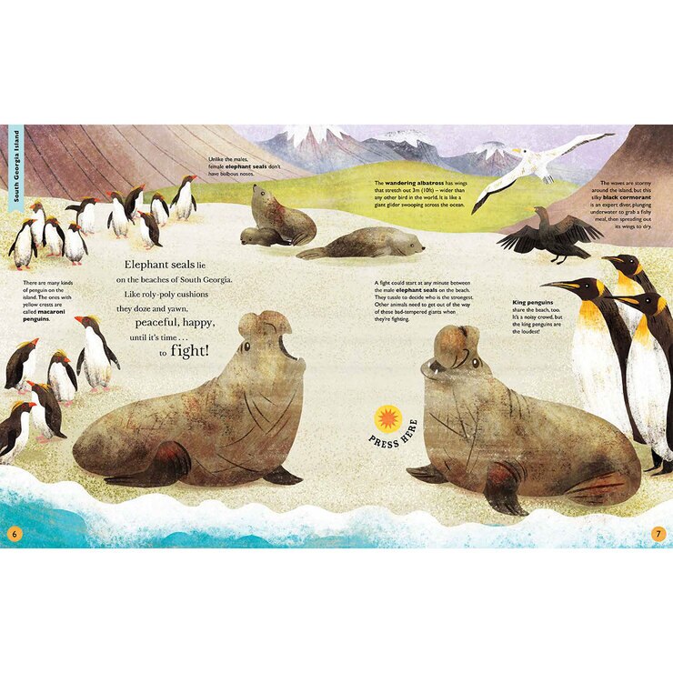 Image of the back cover Image of the back cover