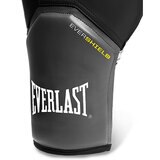 Everlast Boxing Glove and Jab Set