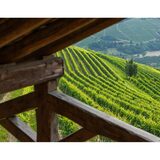 Tenuta Cucco Barolo del Comune di Serralunga d'Alba 2019, 75cl