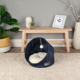 Cat Bed on a Carpet