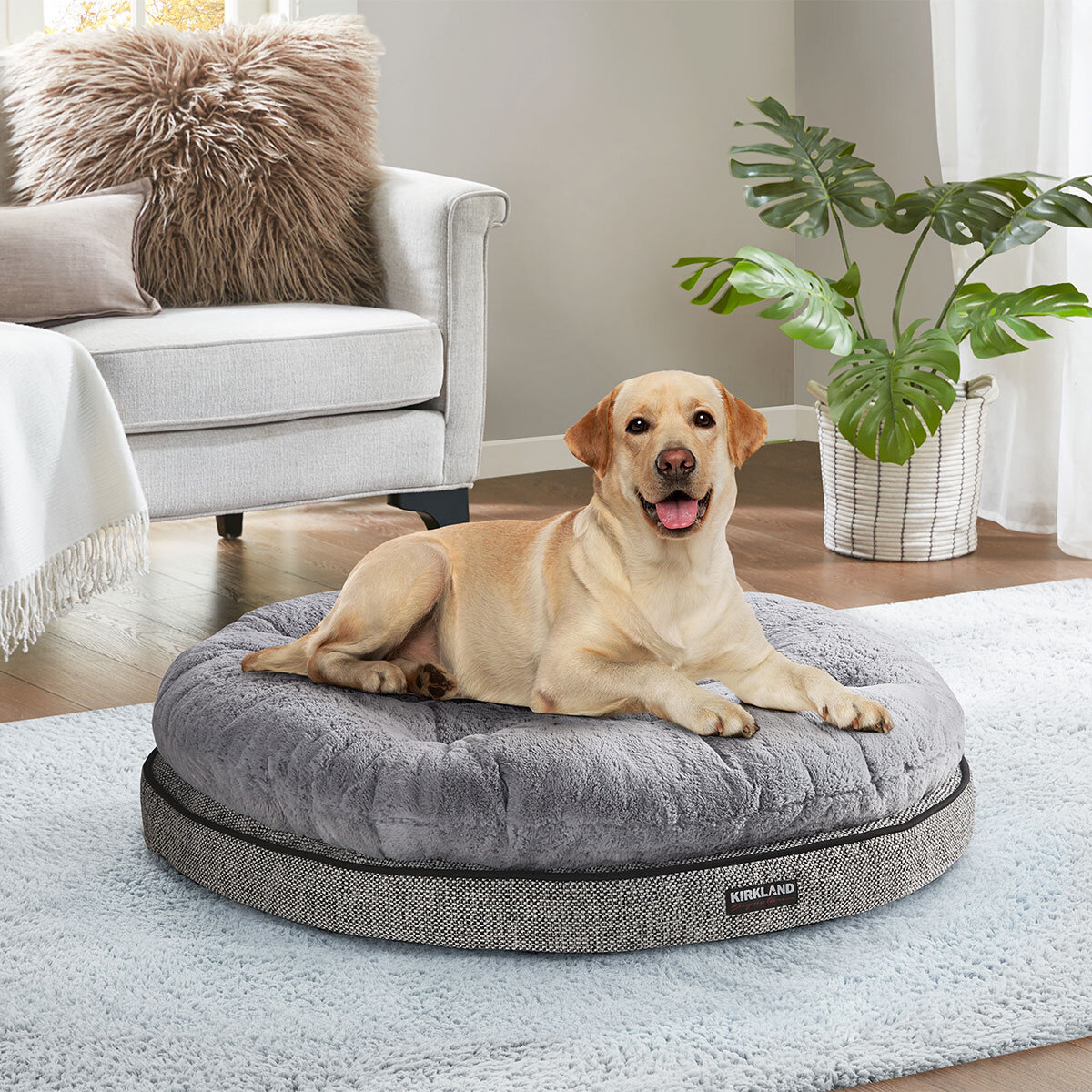 Kirkland Signature Round Pillow Orthopaedic Dog Bed, Grey