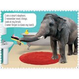 Scholastic 16 Readers Box Assortment, Animal Antics, Year 2 Ages 6-7