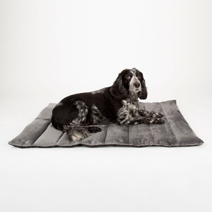 Dog on Bed Dog on Bed