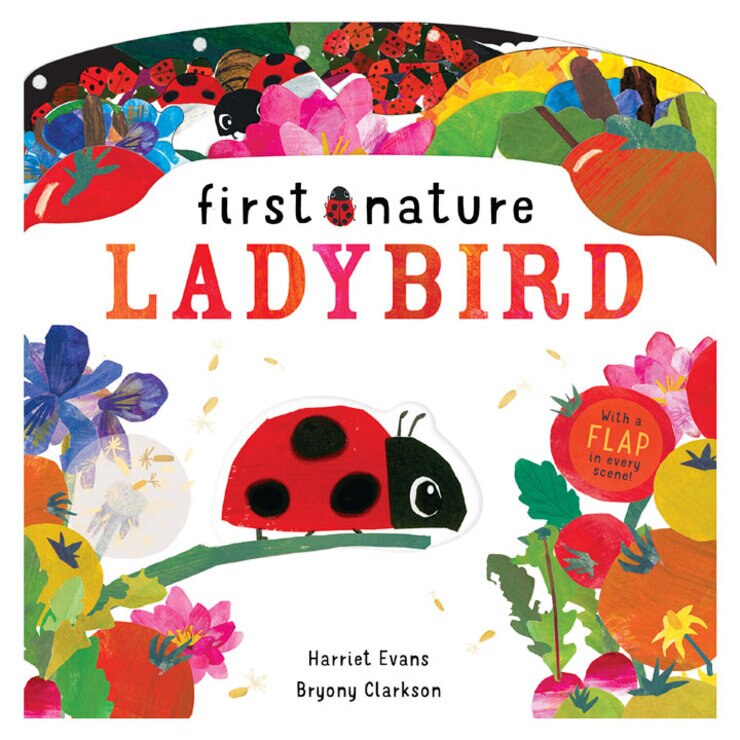 ladybird front cover ladybird front cover