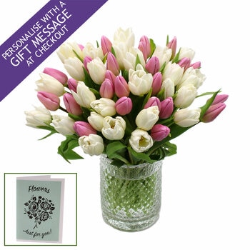 50 Stem Mother's Day Tulip Bouquet with Greetings Card