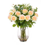 White background image of Roses