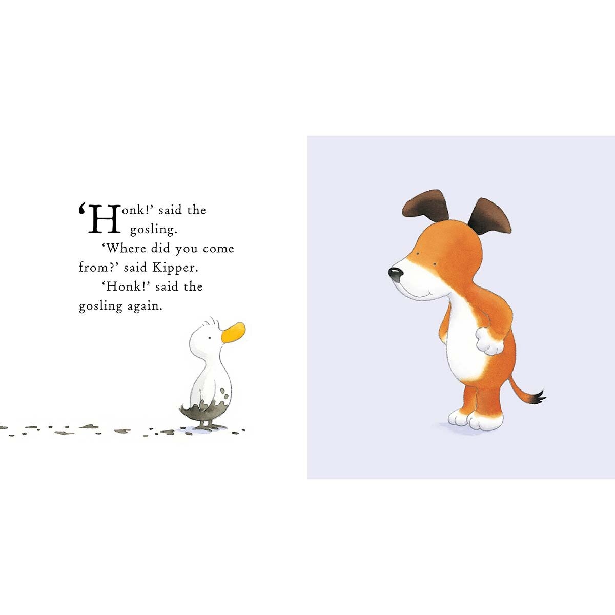 Kipper_6