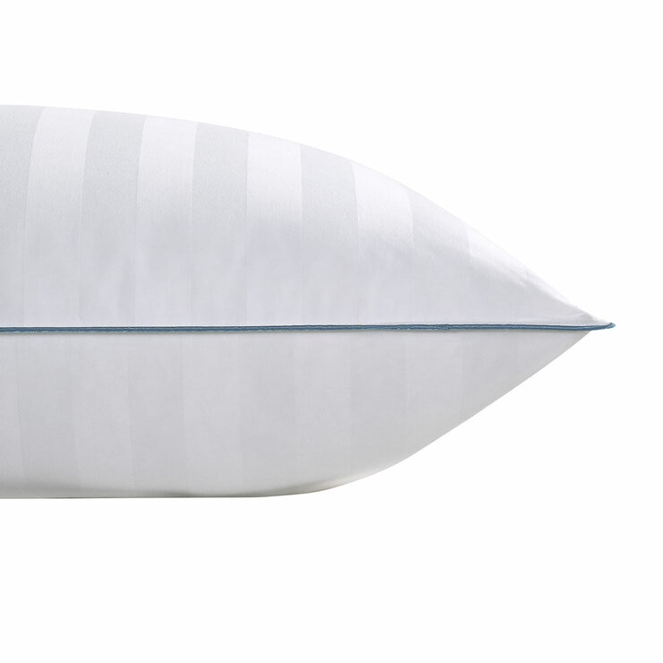 Width of standard size pillow shown with plain background