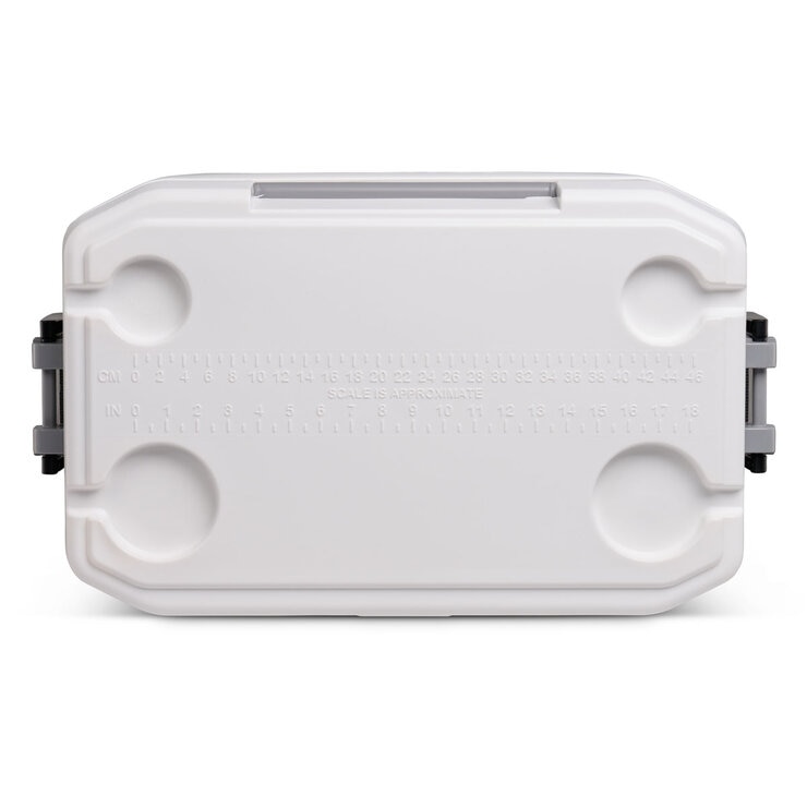 Igloo Latitude 51 Litre (54 US QT) and Igloo Quantum 11 Litre (12 US QT) Combo Cooler