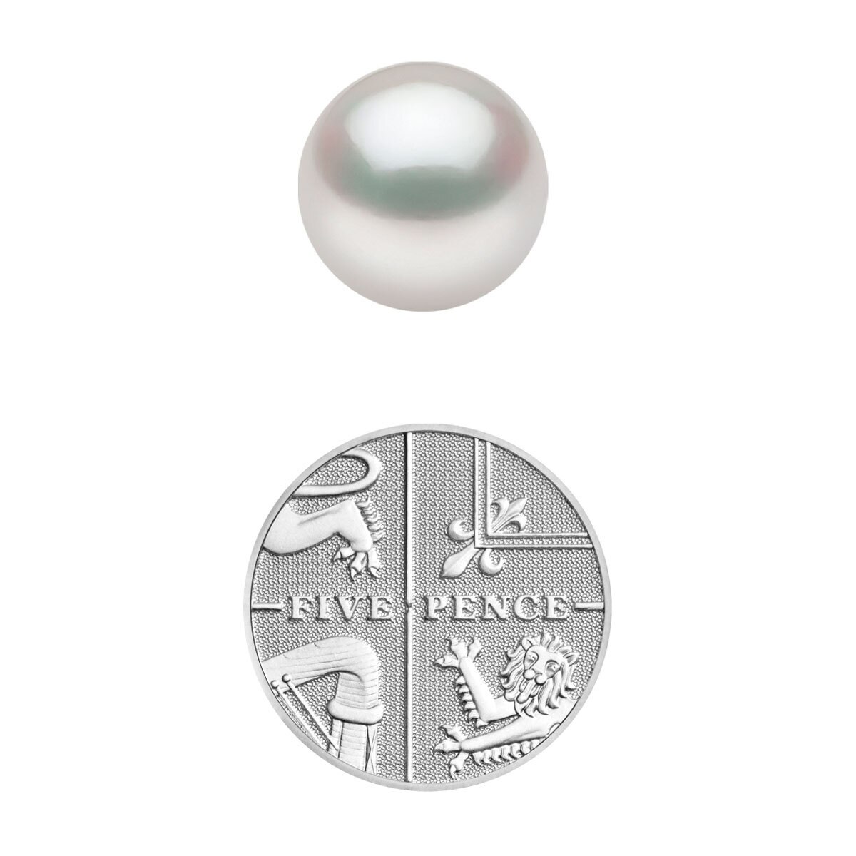 White South Sea Pearl Studs