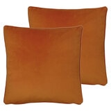 2 pack shot of cushions