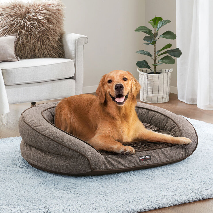 Image of dog bed with dog Image of dog bed with dog