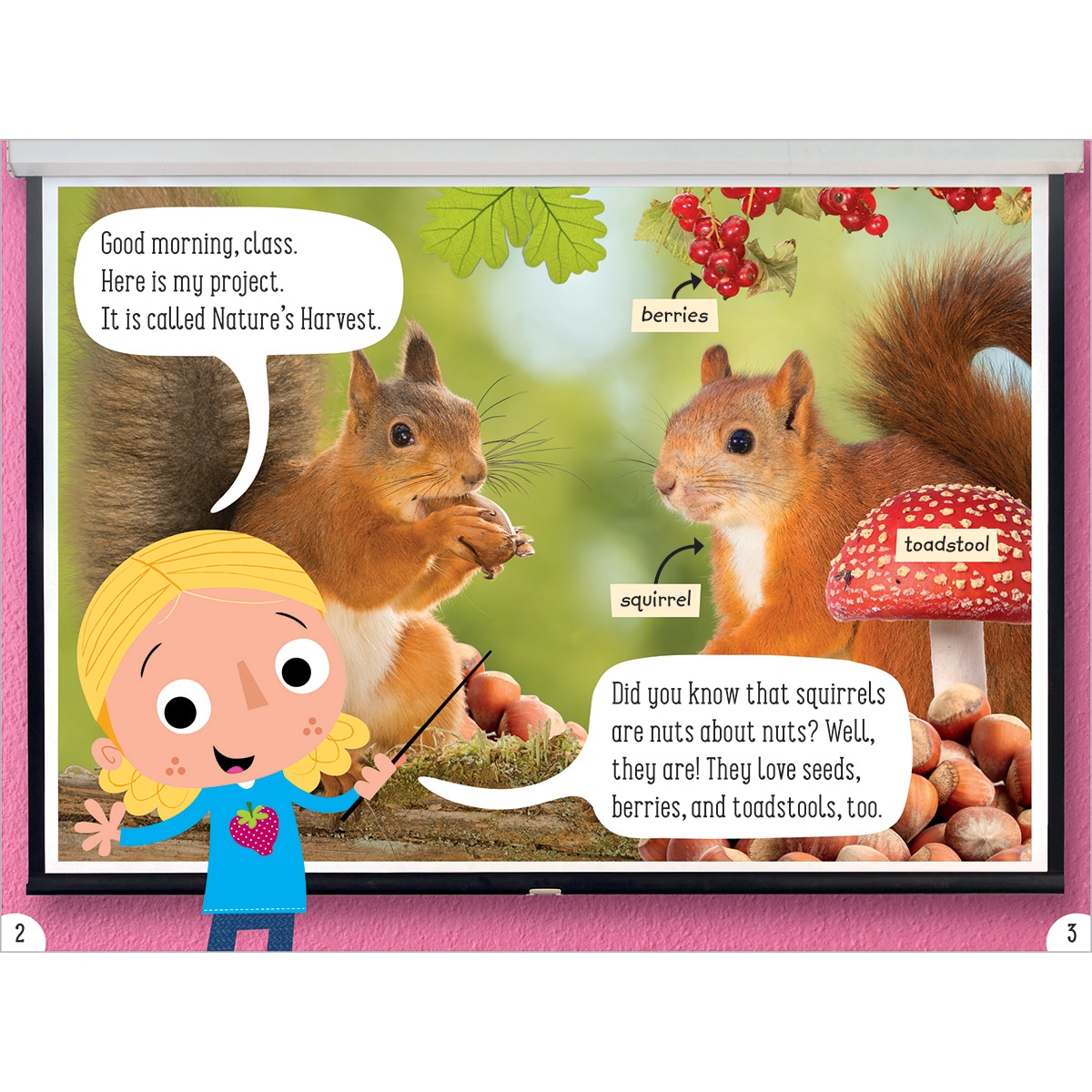 Scholastic 16 Readers Box Assortment, Animal Antics, Year 2 Ages 6-7