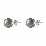 10-10.5mm Tahitian Pearl Earrings, 14ct White Gold 10-10.5mm Tahitian Pearl Earrings, 14ct White Gold