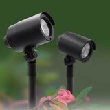 lifestyle image of lights