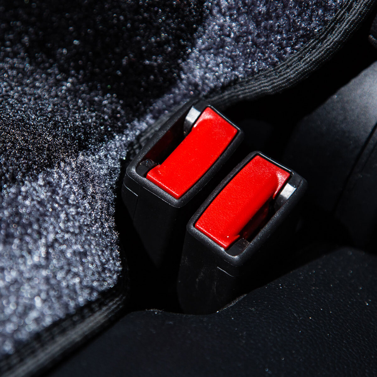 Fixures Neat Seatbelt