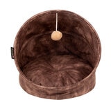 Cat Bed Facing Forwards