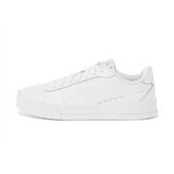 Puma_2