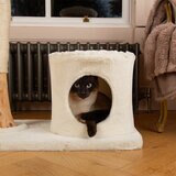 Cat Sitting in Base Hiding Spot Cat Sitting in Base Hiding Spot