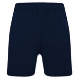 DKNY Men's Swim Shorts in Navy