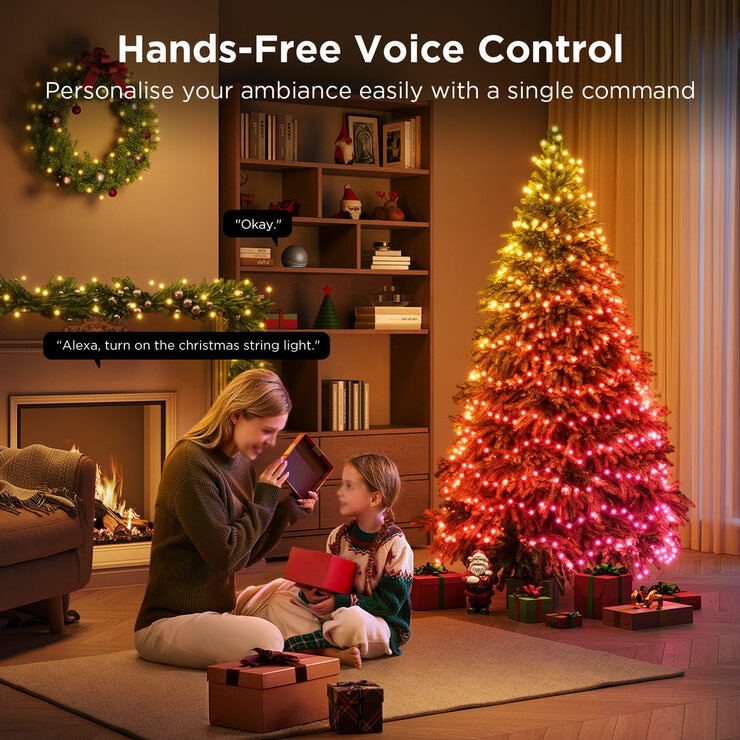 30.48 m GOVEE Christmas String Lights 2S