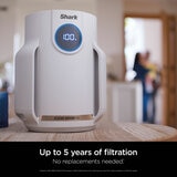 Lifestyle image of Shark NeverChange5 Air Purifier Compact Pro with up to 5 years of filtration