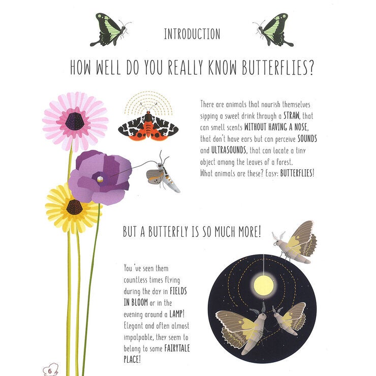 page spread butterfly page spread butterfly