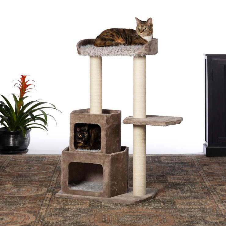 costco cat tree condo