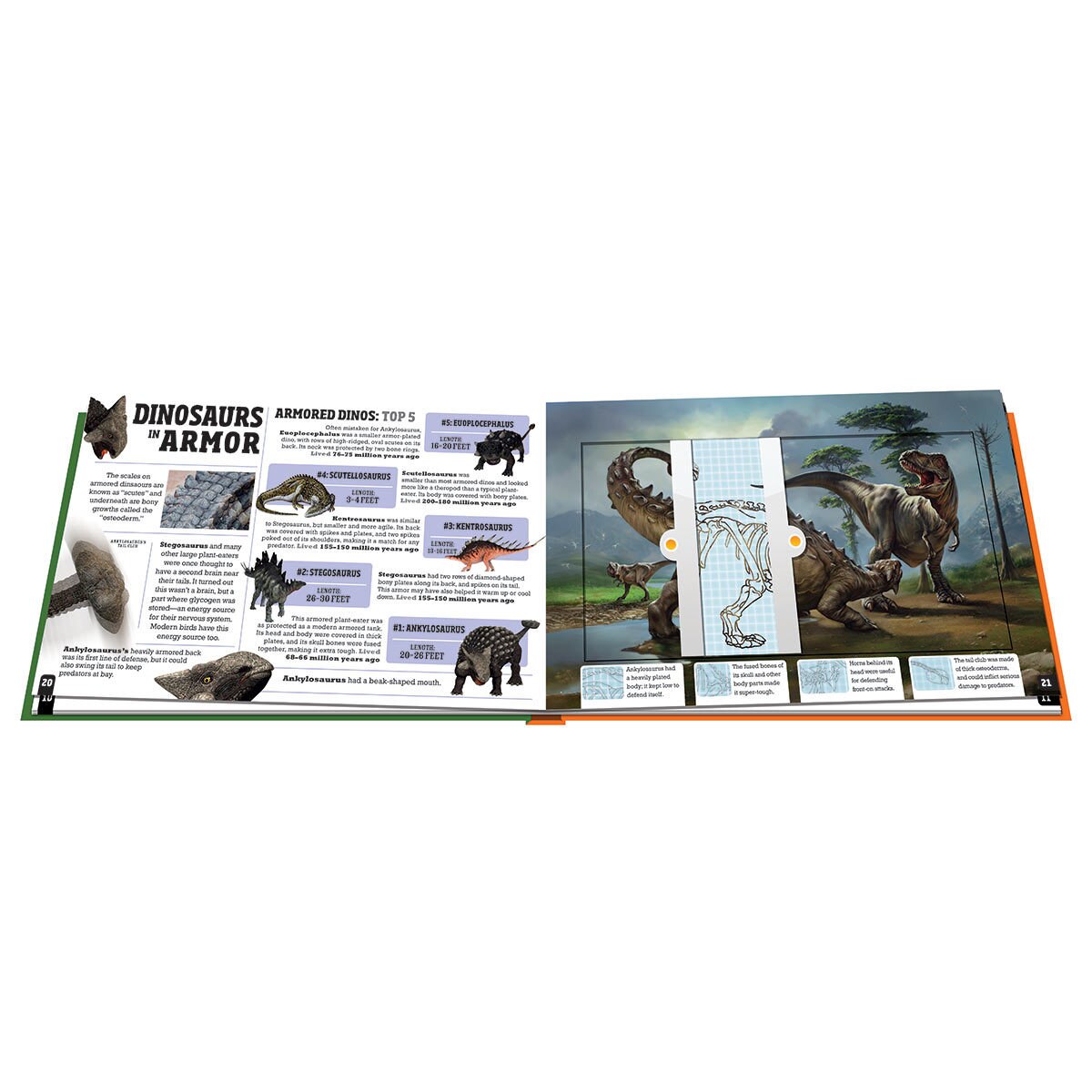 Dinosaurs