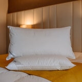 Naturtex Hungarian Goose Down 3-Chamber Pillow, 50 x 75 cm