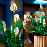 LEGO Botanicals Peace Lily - Model 11504 (18+ Years) LEGO Botanicals Peace Lily - Model 11504 (18+ Years)