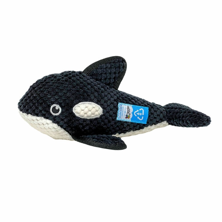 Dolphin