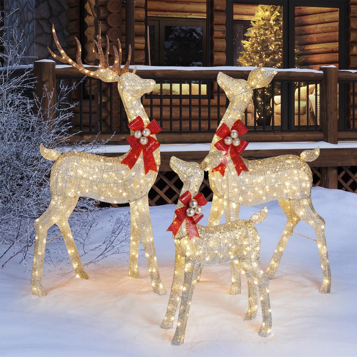 Costco outdoor clearance christmas decorations