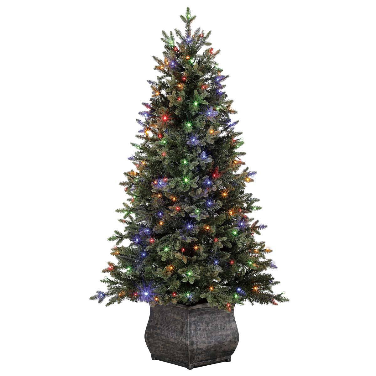 Polygroup 4.5ft tree on white background