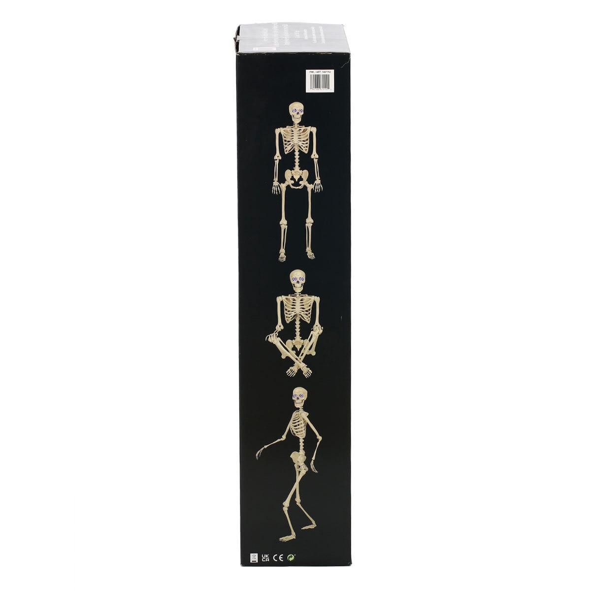 Buy Halloween Animated Poseable Skeleton 60" Pose Examples Image at costco.co.uk