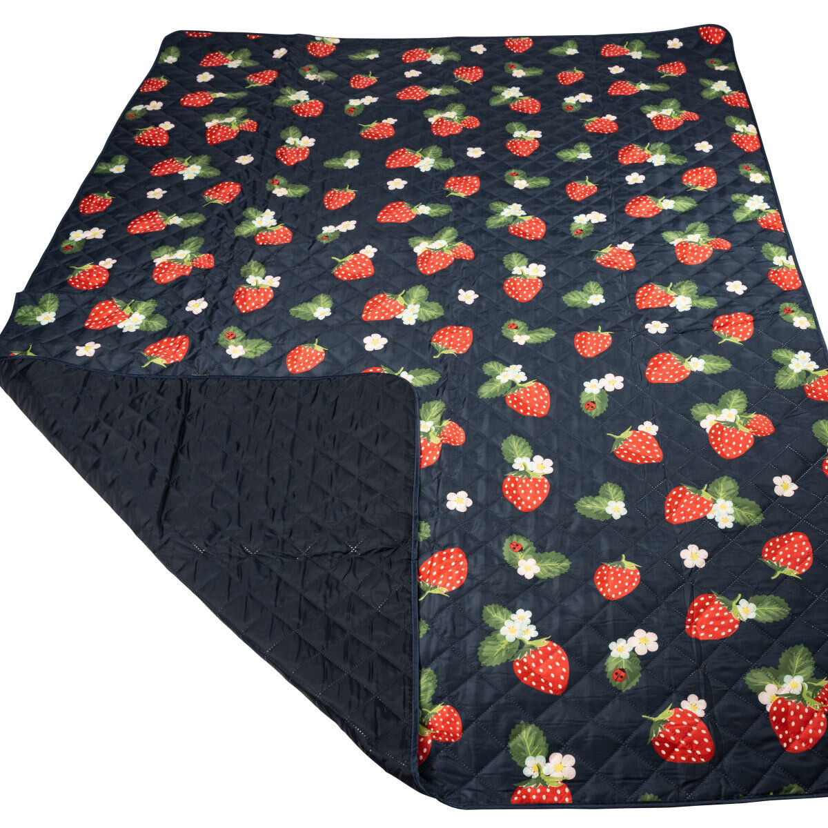 Navigate Strawberries & Cream Picnic Blanket, 175x140cm