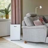 Lifestyle image of Wood's Dehumidifier in living room