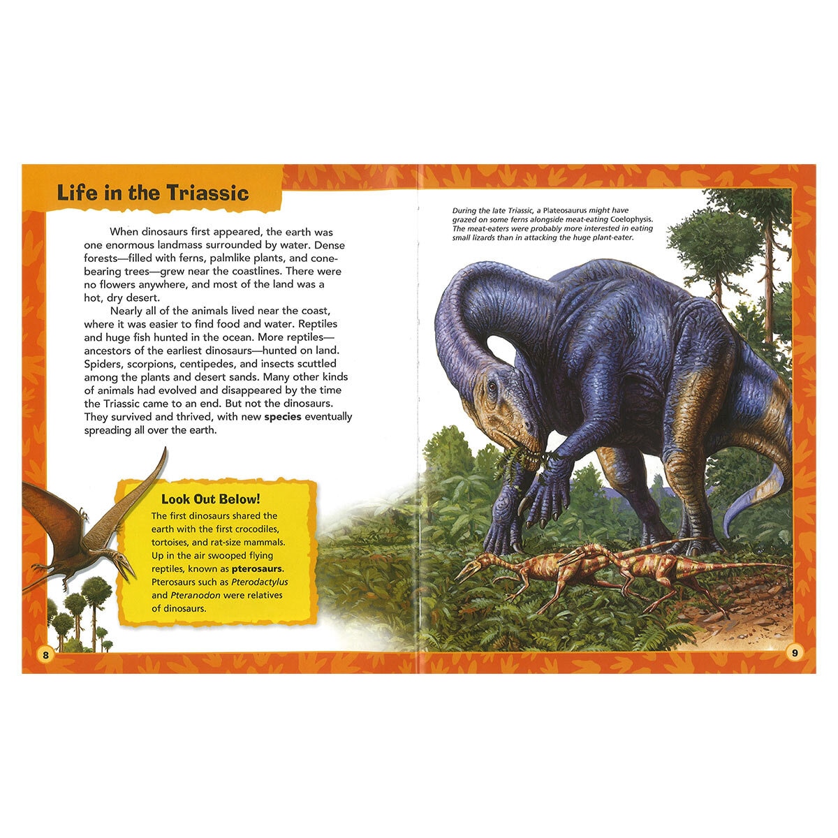 Dinosaur Shaped Adventure Box (3+ Years)