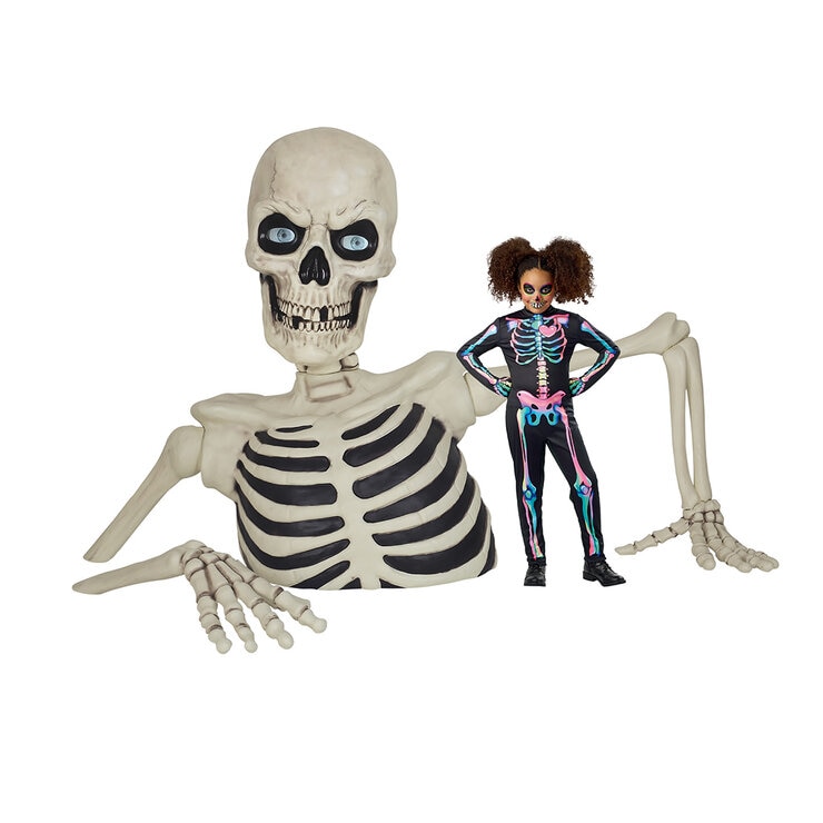 Giant Skeleton lifestyle Image