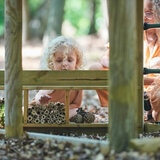 Lifestyle image of a child playing with the bug hotel Lifestyle image of a child playing with the bug hotel