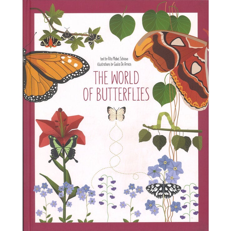 Front cover butterfly Front cover butterfly