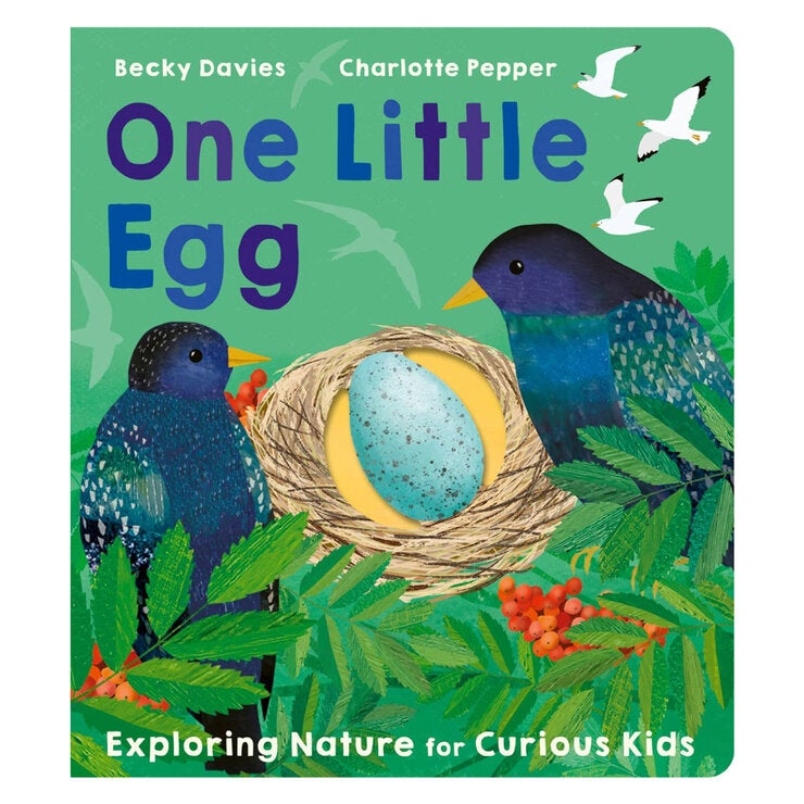 One Little Board Book by Becky Davies and Jacob Souva in 3 Options: One Little Bug, One Little Egg or One Little Little Seed One Little Board Book by Becky Davies and Jacob Souva in 3 Options: One Little Bug, One Little Egg or One Little Little Seed