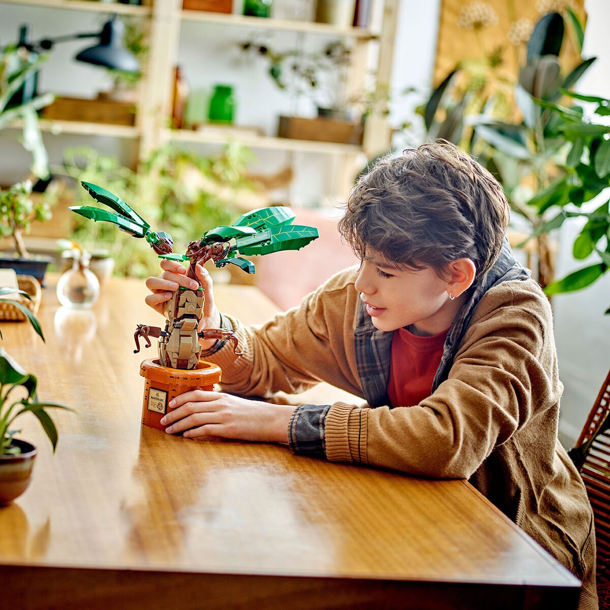 Lego Harry Potter Mandrake Lifestyle Image