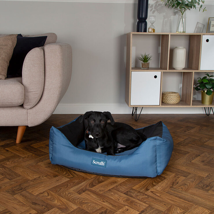 Scruffs Expedition Box Pet Bed, 24" x 19.5" (60cm x 50cm) in Blue Scruffs Expedition Box Pet Bed, 24" x 19.5" (60cm x 50cm) in Blue
