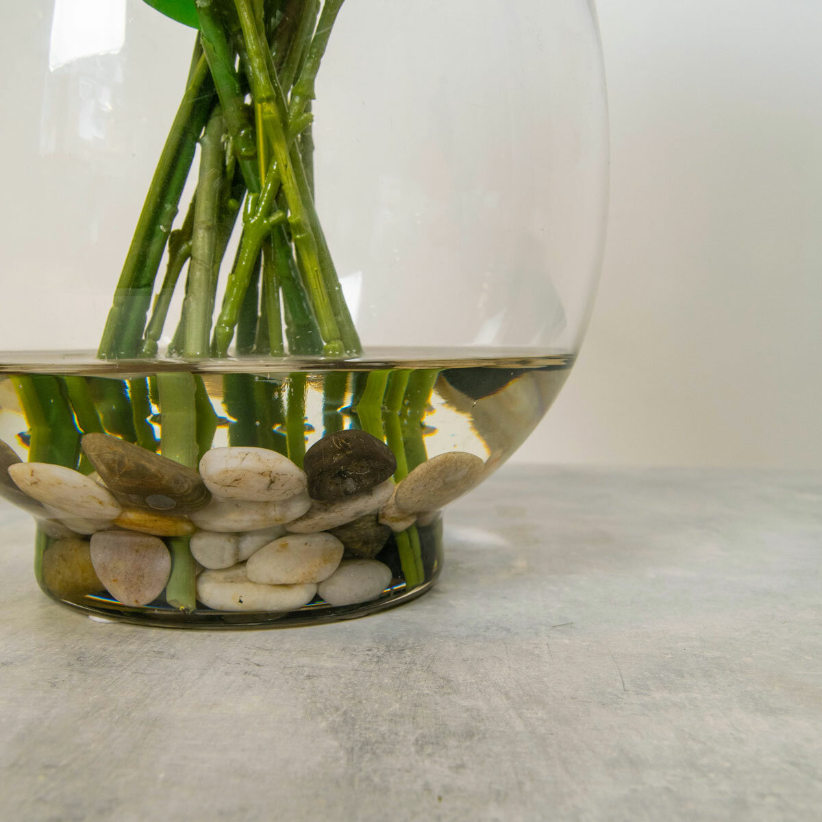 Rose in Vase Pink - Base Close Up