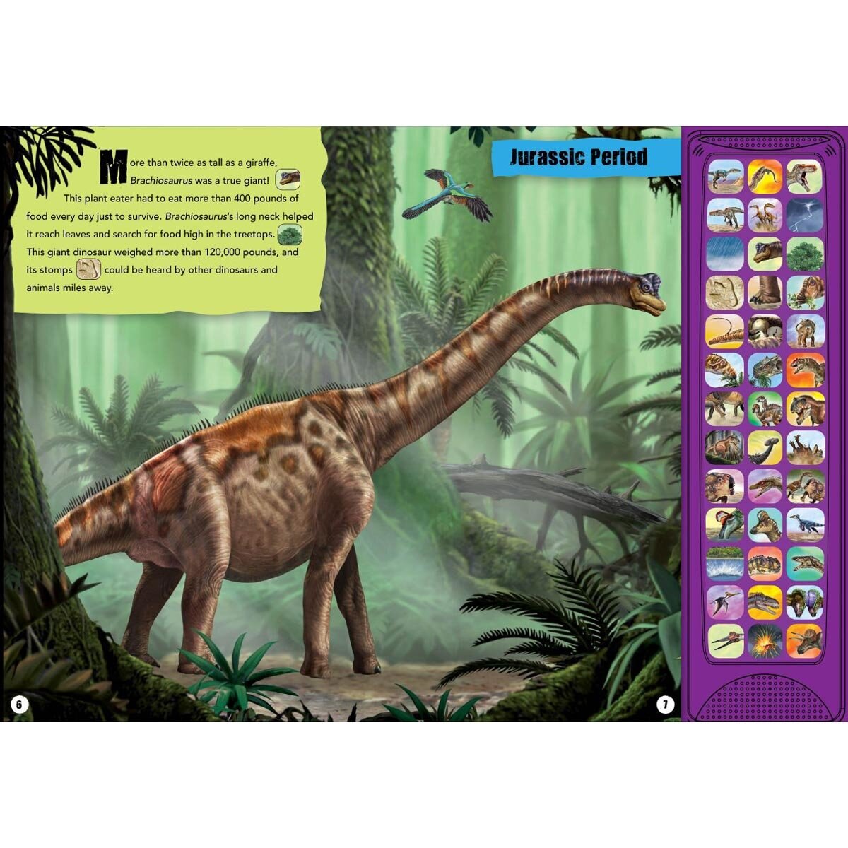 Page Spread